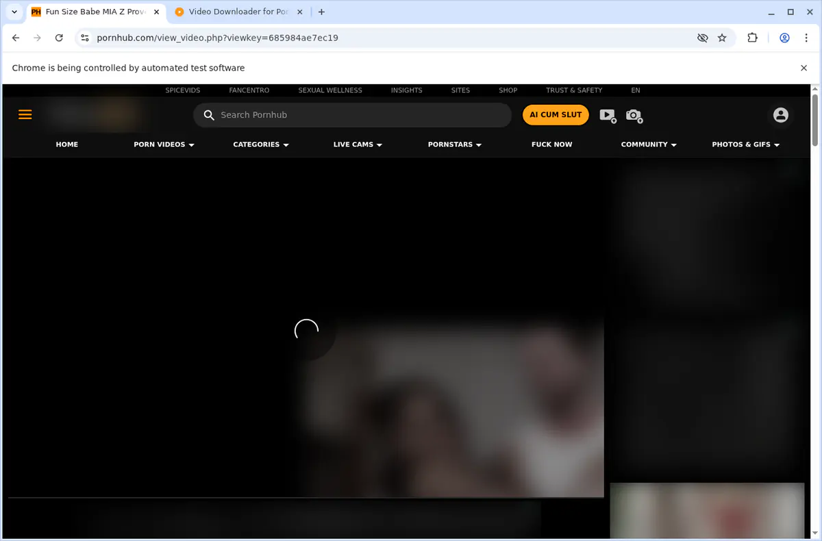 Pornhub Video Downloader browser extension screenshot 3