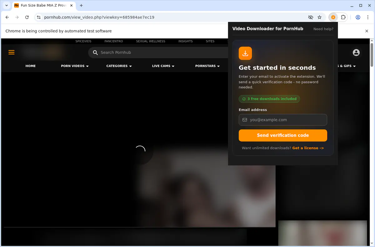 Pornhub Video Downloader browser extension screenshot 6